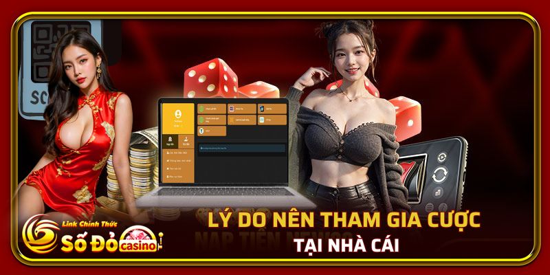 Số Đỏ 66 41 Lý do nên tham gia cược tại nhà cái sodo66