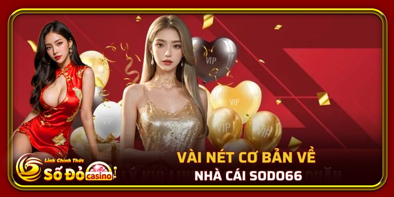 Số Đỏ 66 40 Vài nét cơ bản về nhà cái Số Đỏ 66