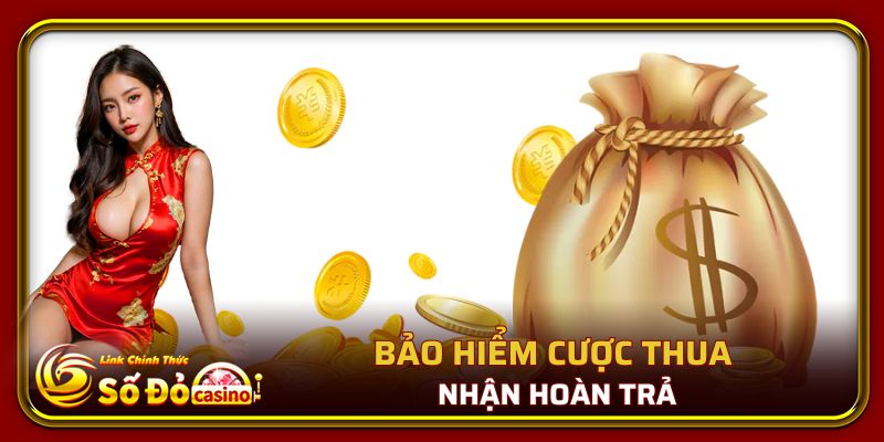 Bảo Hiểm Cược Thua Bắn Cá - Nổ Hũ Số Đỏ : Mới Nhất 2025 3 bảo hiểm cược thua bắn cá-nổ hũ nhận hoàn trả từ nhà cái
