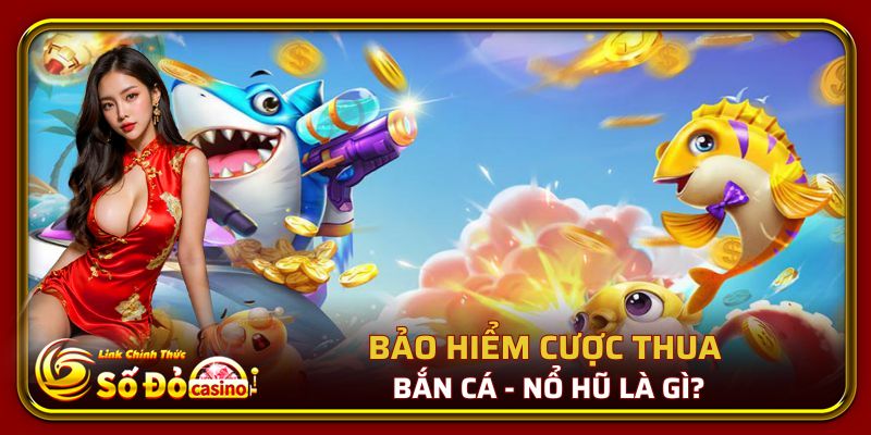 Bảo Hiểm Cược Thua Bắn Cá - Nổ Hũ Số Đỏ : Mới Nhất 2025 1 Tìm hiểu bảo hiểm cược thua bắn cá nổ hũ là gì?