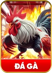 icon da ga